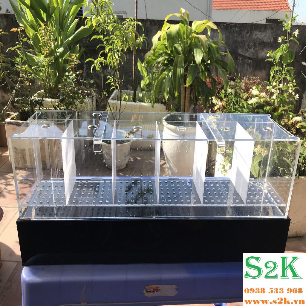 Bể acrylic CB25: 25x25x25 , hồ mika phù hợp cho nuôi cá, cây thủy sinh... có thể dùng kèm theo đèn, bơm, lọc