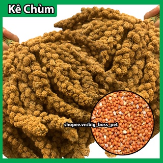 1Kg kê chùm thức ăn cho Hamster-Chim-Gà-Vẹt