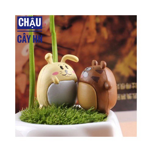 Tiểu cảnh thú béo trang trí terrarium, sen đá, xương rồng, cây cảnh mini, charm slime trang trí chậu cây trồng, nhà cửa