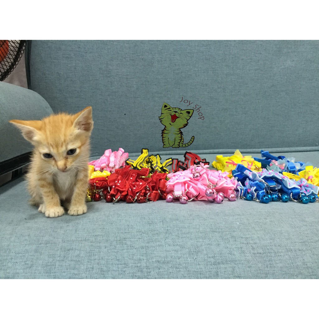 [Mã PET50K giảm Giảm 10% - Tối đa 50K đơn từ 250K] VÒNG CỔ DẤU CHÂN CHO MÈO