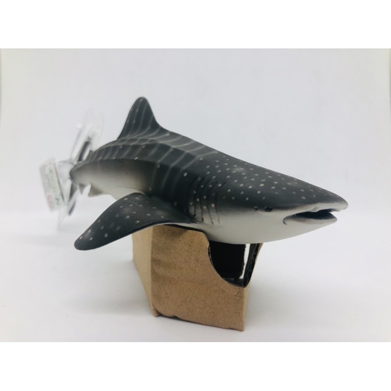 Mô hình động vật , đồ chơi con vật CollectA chính hãng Cá mập voi 88453 - Schleich House