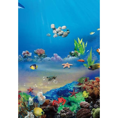 Tranh Dán Tường Họa Tiết Thế Giới Đại Dương 3D Hót Nhất, được ưa chuộng nhất hiện nay