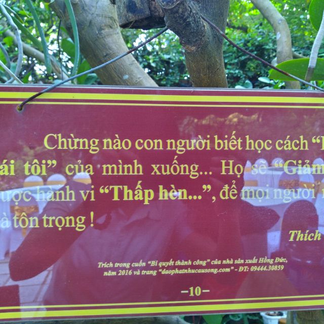 nguyenvui7683