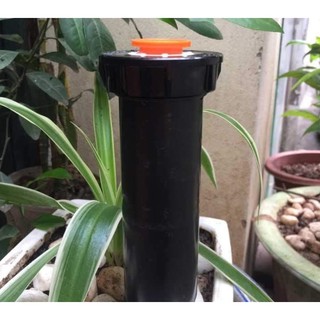 Đầu phun pop-up rain bird 1800 van 15