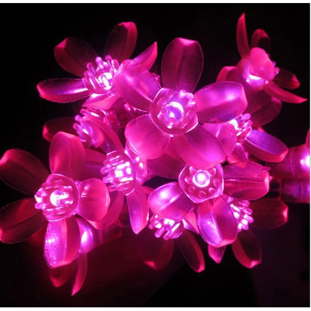 Dây Đèn Led Hoa Mai Hoa Đào 8M-50 Bóng Trang Trí Lễ, Tết ,Party