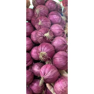 DÂY TỎI, HÀNH, ỚT TRANG TRÍ