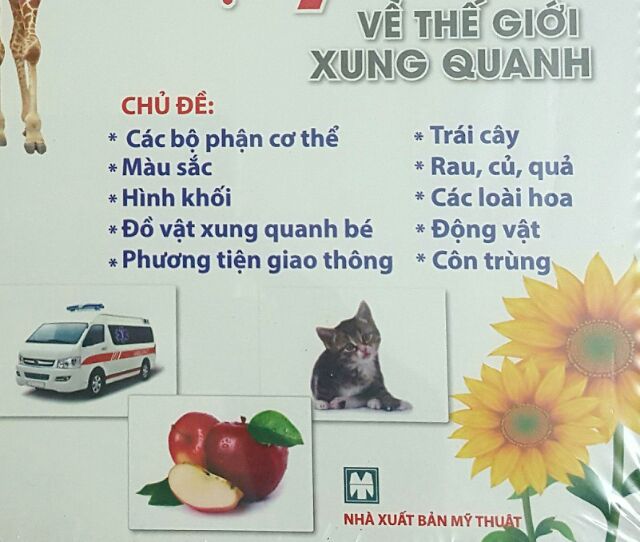 Flash card - Thế giới xung quanh chuẩn theo Glenn doman