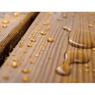 Wood Sealer - Keo lấp tom gỗ