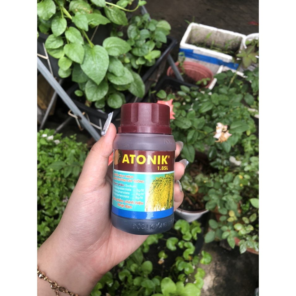 Thuốc kích thích tăng trưởng Atonik hũ 100ml