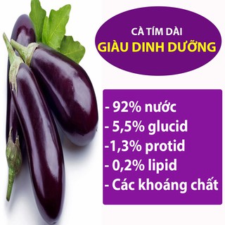 Hạt Giống Cà Tím Trái Dài 0,5G