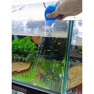 Cây Hút Phân Cặn Hồ Cá Cảnh - Tép Cảnh - Tép Màu Quận 3