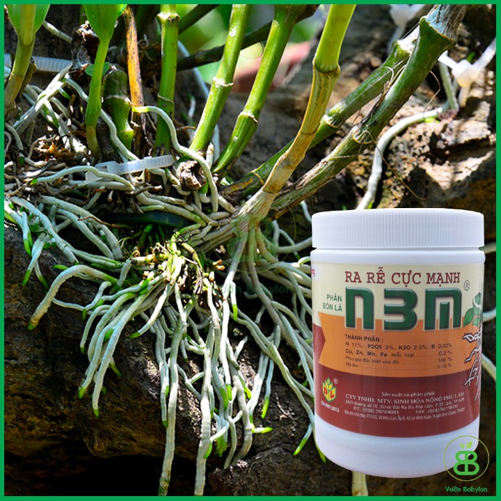 THUỐC KÍCH RỄ N3M 500G