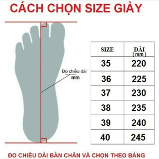 Giày Mèo Thêu Gót Dễ Thương (Đế 3cm)