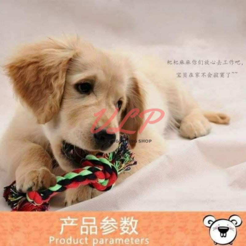 ĐỒ CHƠI DÂY THỪNG CHO THÚ CƯNG