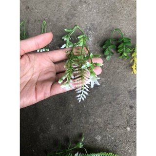 Cỏ điểm trang trí 100gram