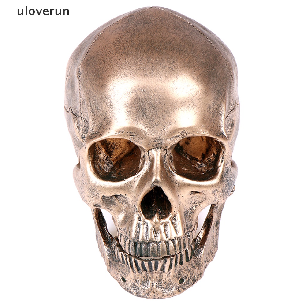 Mô Hình Đầu Lâu Người Bằng Nhựa Resin Đồng Tỉ Lệ 1: 1 Trang Trí Halloween