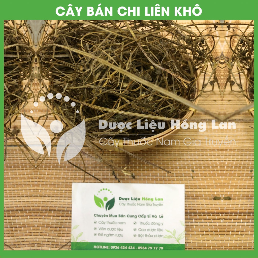 CÂY BÁN CHI LIÊN khô đóng gói 1kg - congtyduoclieuhonglan