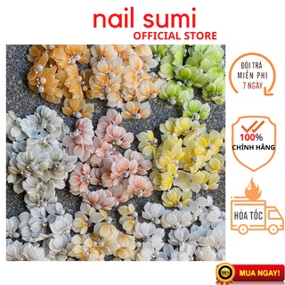 Hoa bột rubi nhọn gắn móng trang trí móng