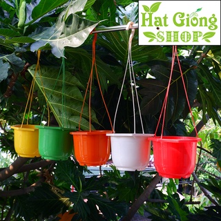 Chậu treo trồng hoa,cây kiểng KT 16x13cm