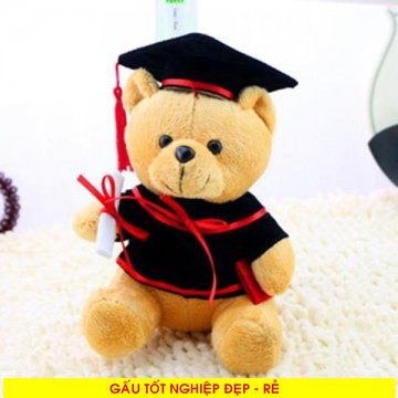 Gấu Bông Tốt Nghiệp Size 20cm Kho Tphcm