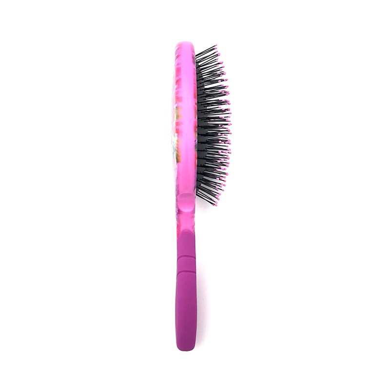 [CHINH HÃNG] Lược gỡ rối WETBRUSH dòng truyền thống họa tiết winter aster PPWA