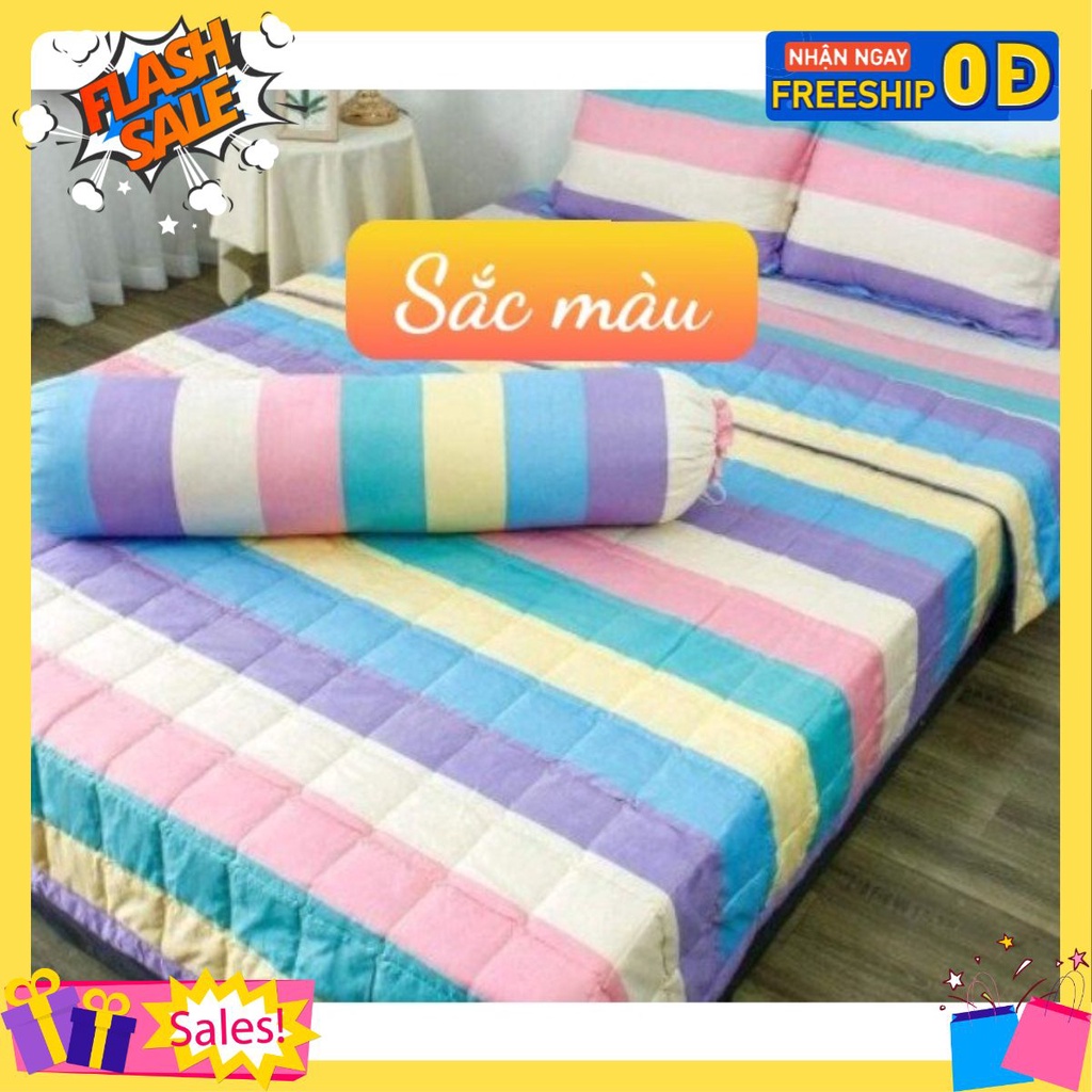 Bộ ga gối kèm vỏ gối ôm 4 món[1m2,1m6,1m8]vải cotton poly[mẫu sắc màu]