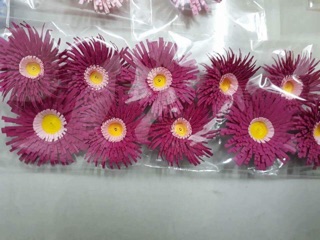 Set 50 bông hoa cúc làm sẵn