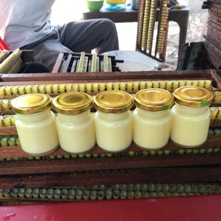 100g Sữa ong chúa tươi nguyên chất