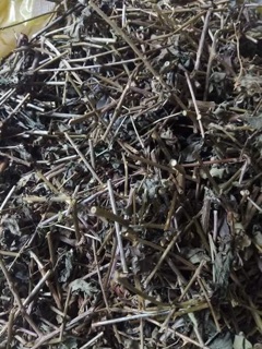 Cà Gai Leo tự nhiên 1kg