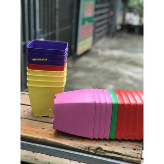 Bộ 5 Chậu Nhựa  Trồng Cây V20 , Trồng Được Các Loại Cây Mini