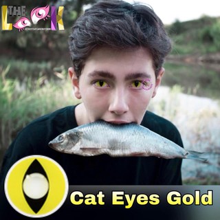 LENS CRAZY COSPLAY - CAT EYE ( KHÔNG ĐỘ )
