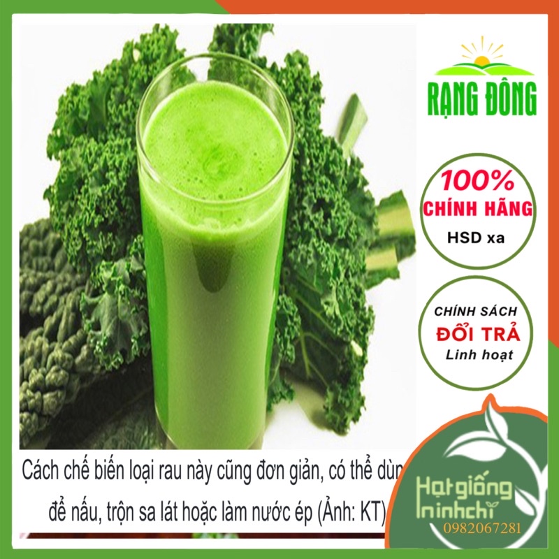 Hạt Giống Cải Kale xanh  RADO 686, Rau củ quả trông ban công, sân thượng, thùng xốp.