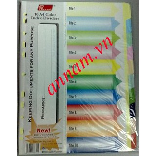 BÌA PHÂN TRANG NHỰA 10 - 12  MÀU