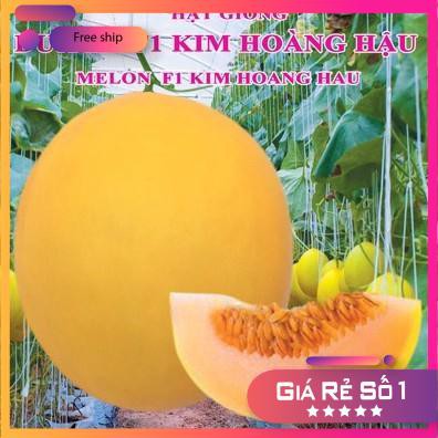 Hạt giống Dưa Lê F1 Kim Hoàng Hậu (0.1g)