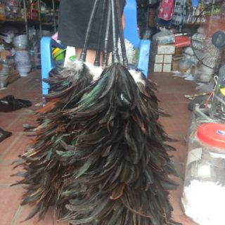 Chổi lông gà