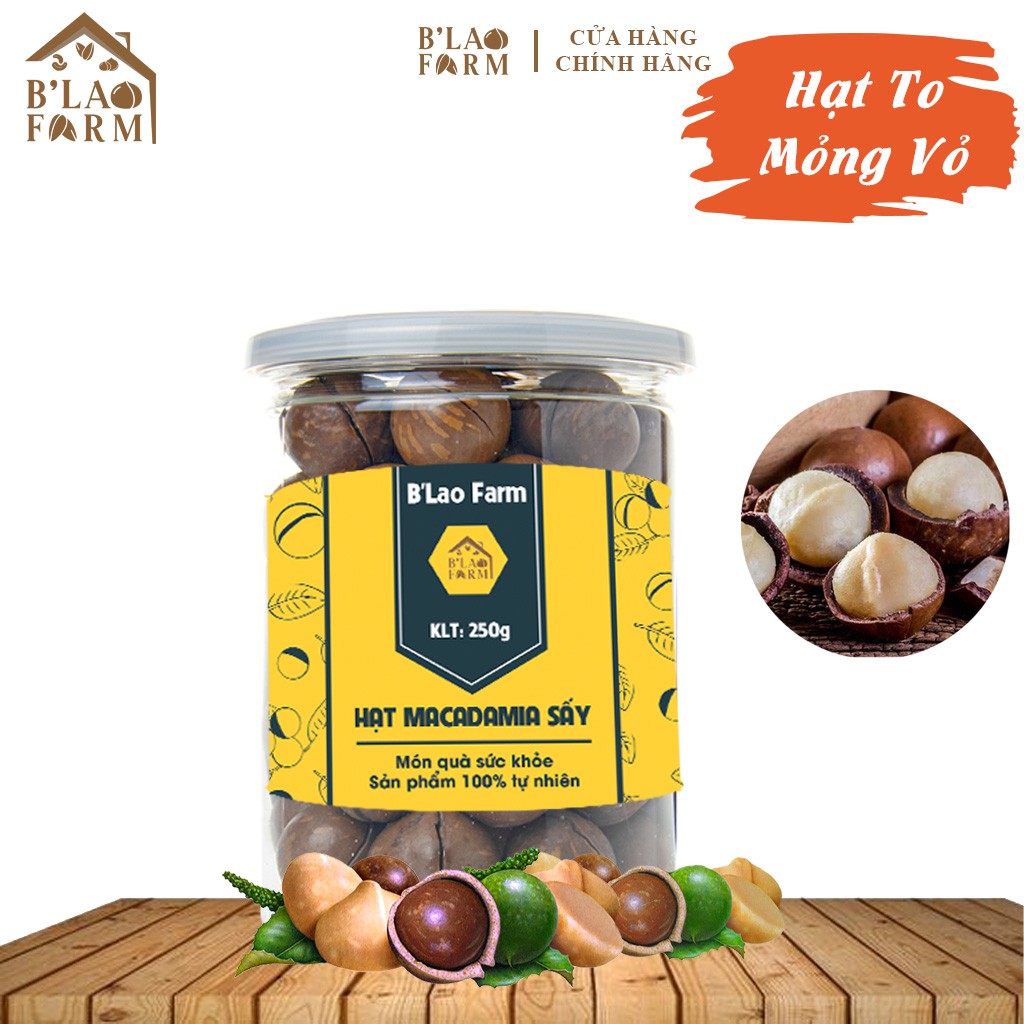 [Hũ 250g] Hạt Macca Sấy Nứt Vỏ Tự Nhiên Lâm Đồng (Hạt To, Đều, Tặng Kèm Dụng Cụ Tách Vỏ)