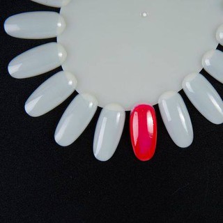 Móng Giả Tập Sơn Nail- 20 móng