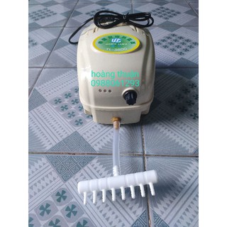 Sục Khí oxyTích điện 3600 dùng trên 8 tiếng