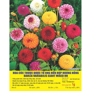 Hạt Hoa CÚC Thược Dược tổ ong nhiều màu - Gói 0,5 gram