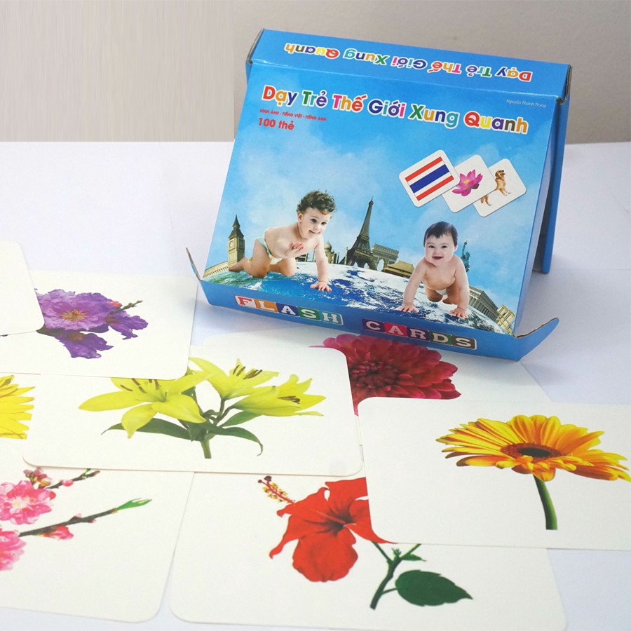 Bộ thẻ học thông minh thế giới xung quanh flash card 100 thẻ học khổ to a5 cho bé học chữ cái hình ảnh