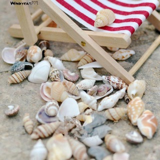 100 grvỏ ốc nhỏ trang trí