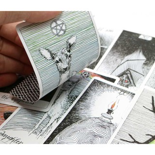 Bài The Wild Unknown Tarot Size Thường H2