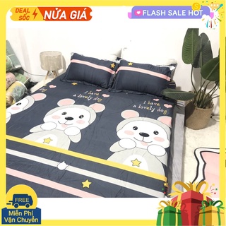Bộ ga gối cotton poly hàn quốc 1m2,1m4,1m5,1m6,1m8,gấu kẻ ba màu