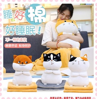 [SẴN HÀNG ] ảnh thật- chăn gối mèo 3in1