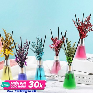 Tinh dầu thơm phòng-Hoa tinh dầu tự khuếch tán LOẠI MÀU