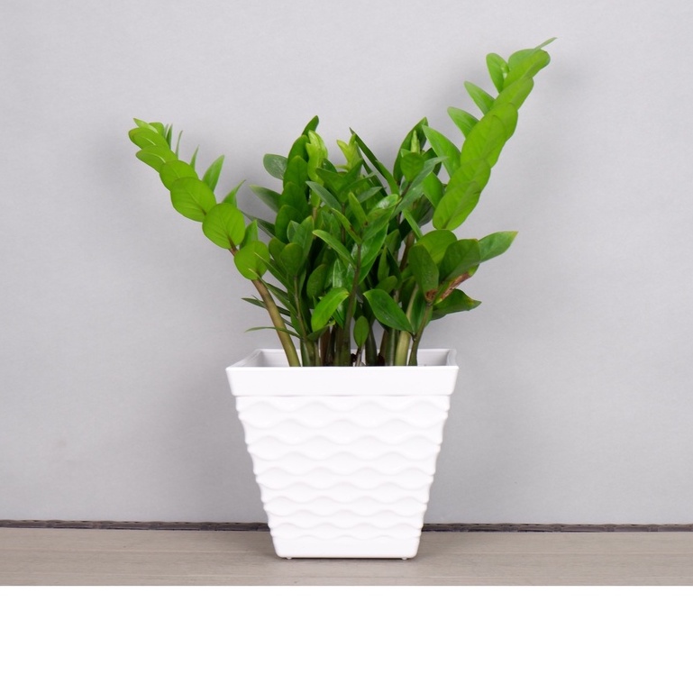 (21x18cm) Chậu nhựa giả sứ cao cấp vuông mắt lưới VML210_Chậu hoa để bàn vuông sóng trồng cây tiểu cảnh siêu xinh