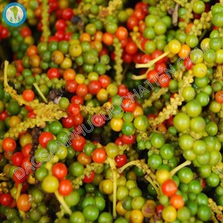 Hồng tiêu Phú Quốc - 500G