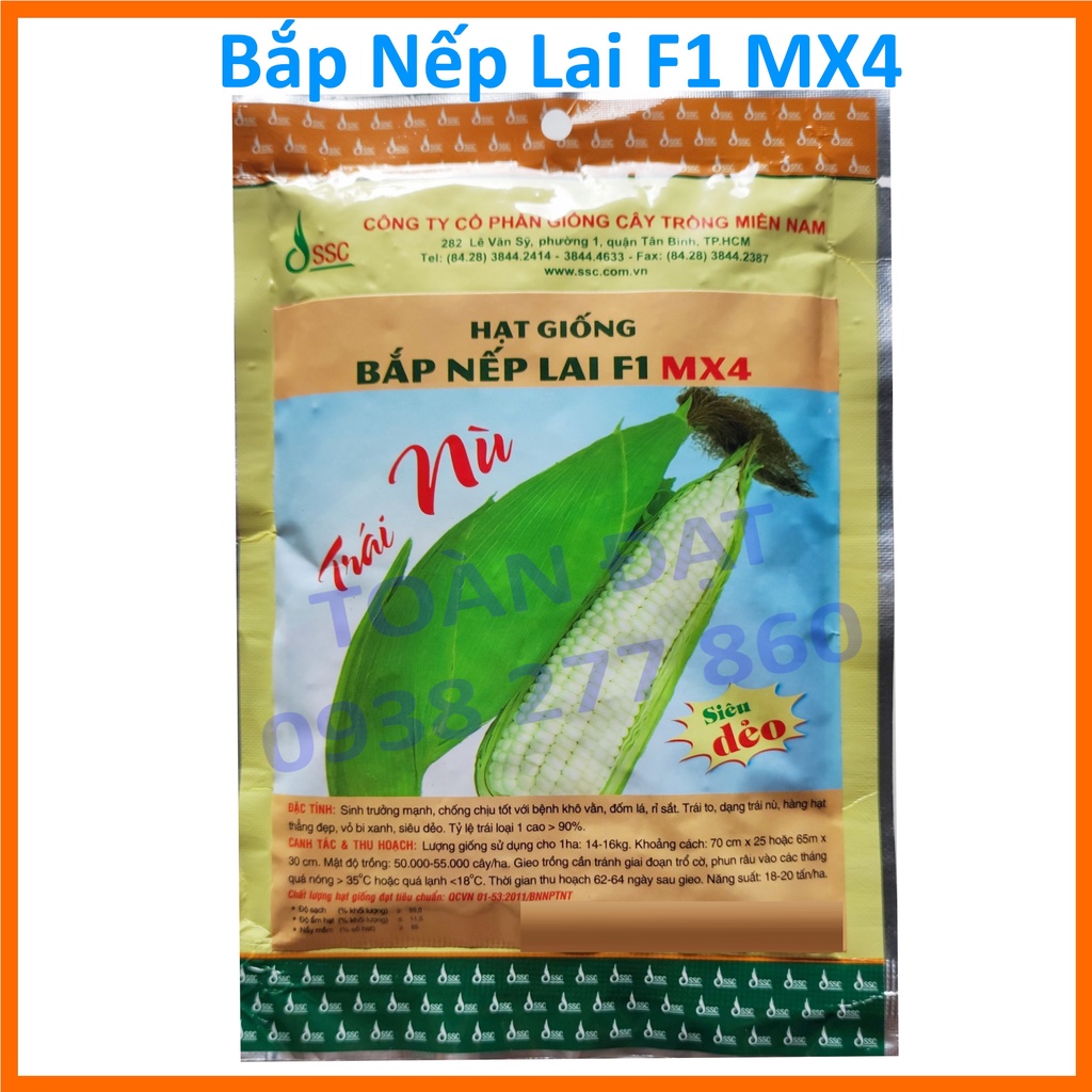 Hạt Giống Bắp Nếp Lai F1 MX4 , Giống Bắp Ngọt Mỹ, Bắp tím siêu dẻo