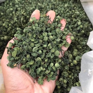 Nụ hoa tam thất bao tử cuống ngắn loại 1(500g)