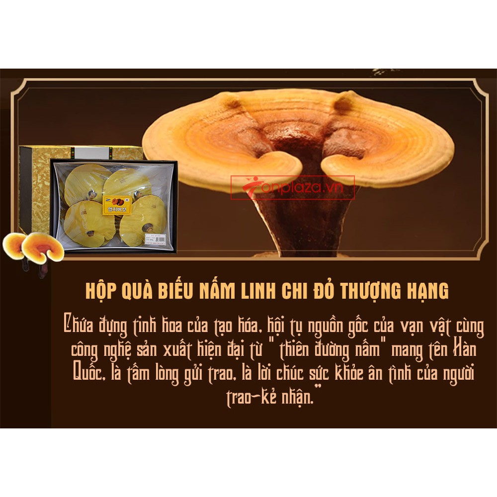 Nấm Linh Chi Uhak Hộp Quà Hàn Quốc, Hộp 1kg